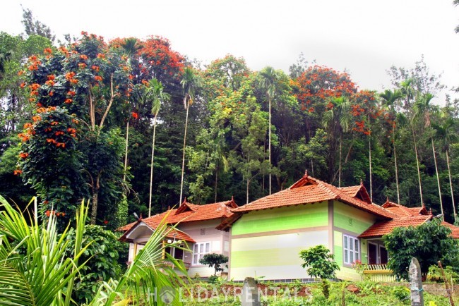 Mountain View holiday Stay, Wayanad