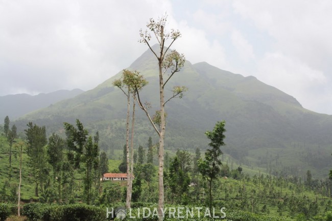 Mountain View holiday Stay, Wayanad