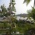 Views from the property