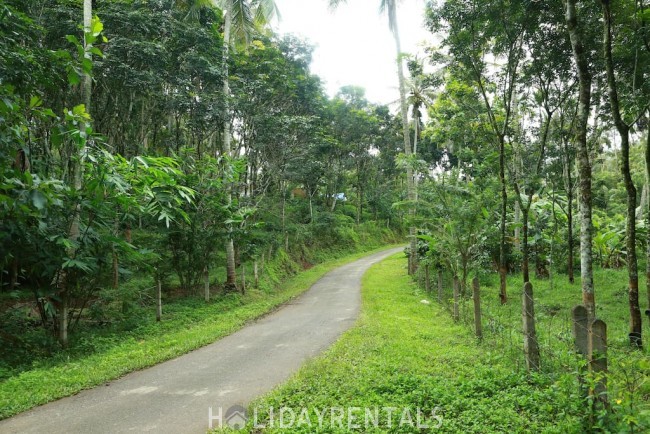 Forest View Stay, Wayanad