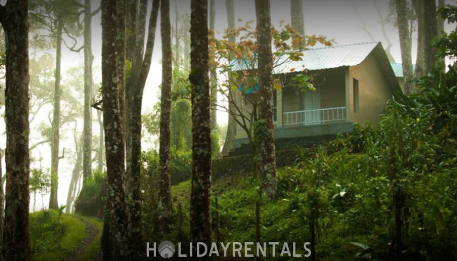 Misty View Resort, Idukki