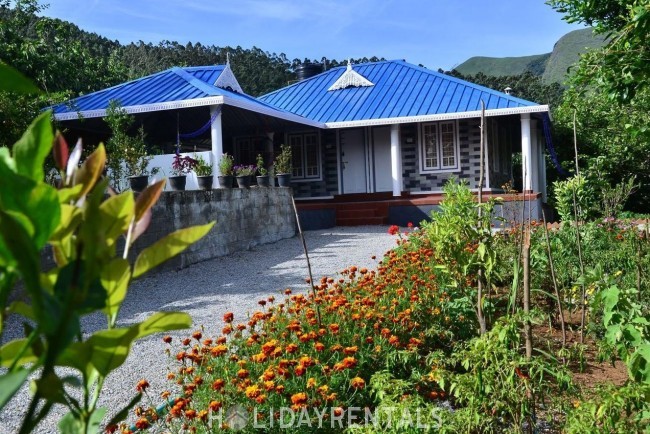 Misty View Holiday Stay, Idukki