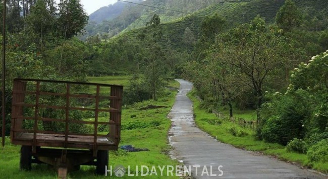 Tea Plantation View Stay, Idukki