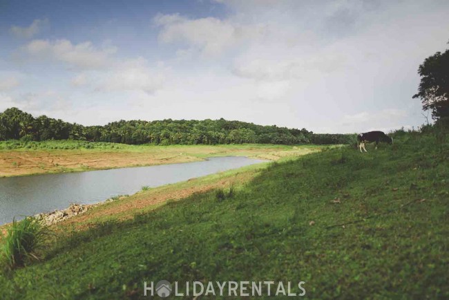 Stay Near Pathazhakundu Dam, Thrissur