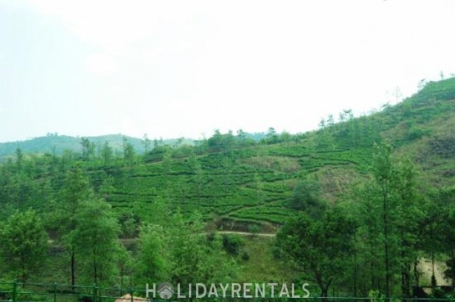 Eco Friendly Holiday Stay , Idukki