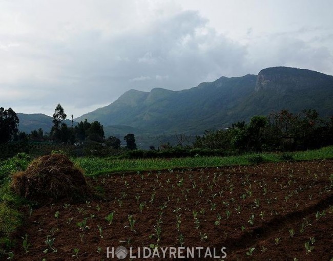 Misty View Holiday Stay, Idukki