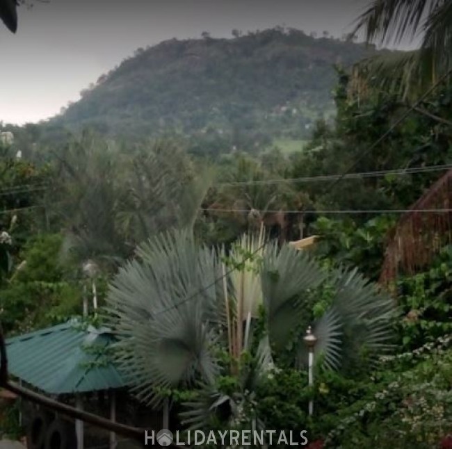 Holiday Cottage, Idukki