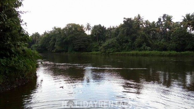 Forest Stay, Thrissur