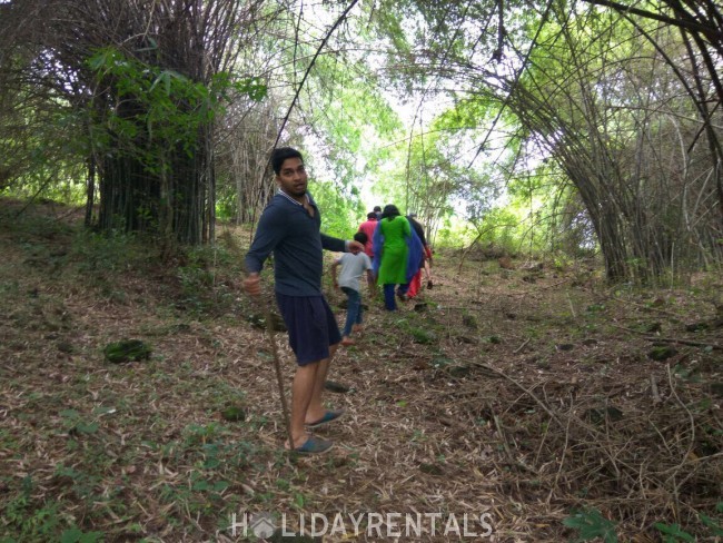 Forest Stay, Thrissur