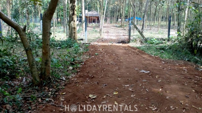 Forest Stay, Thrissur