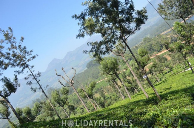 Stay Near Karadipara View Point, Idukki