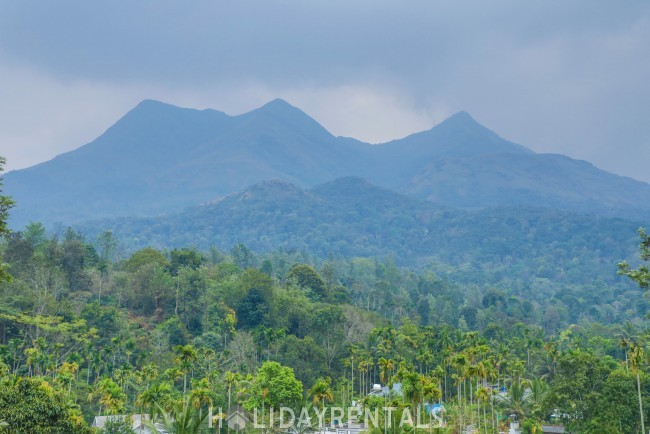 Tea Estate View Home, Wayanad