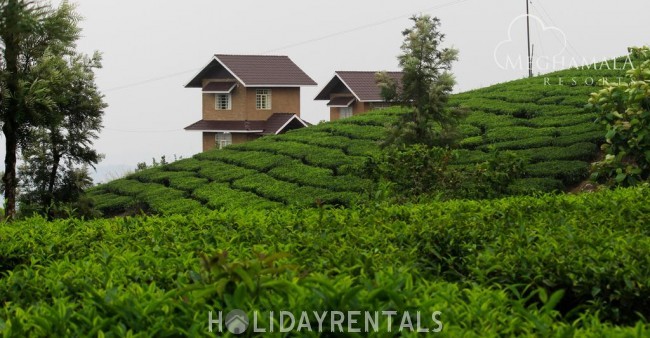 Tea Plantation View Stay, Idukki