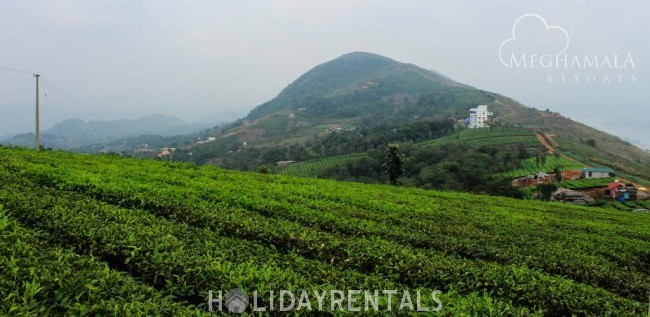 Tea Plantation View Stay, Idukki