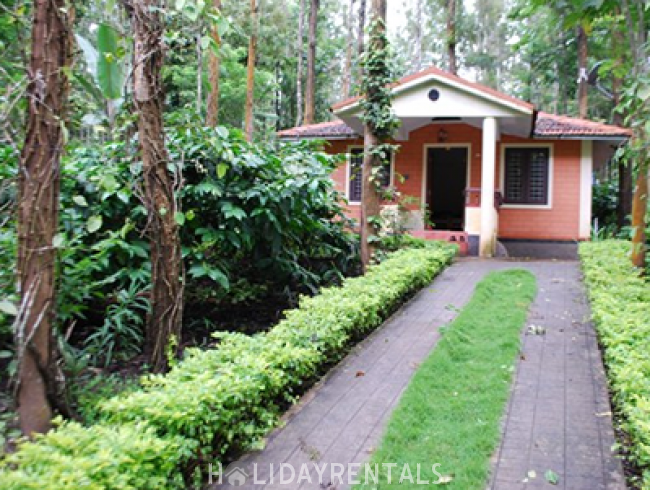 Eco Friendly Holiday Stay, Idukki