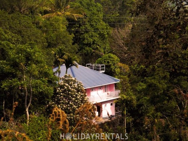 Misty View Stay, Idukki