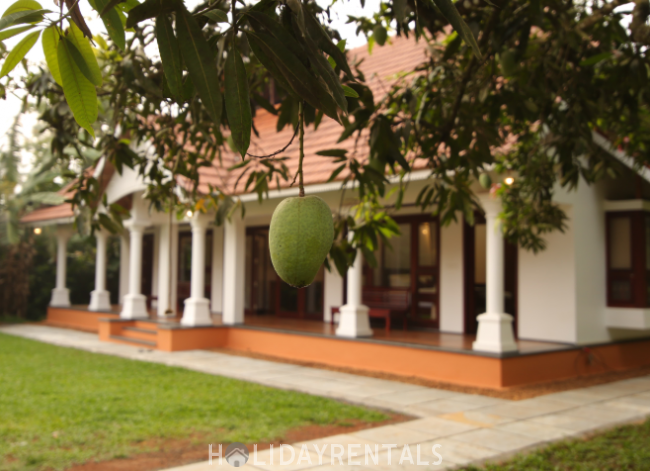 Eco Friendly Home, Idukki