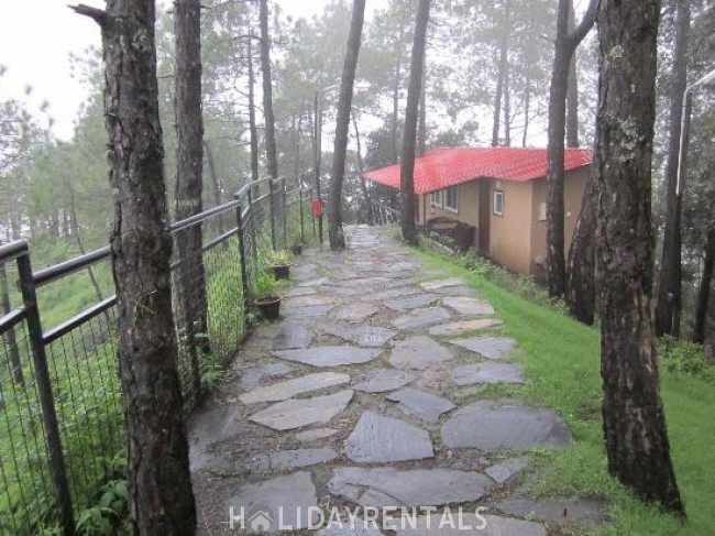 Misty View Stay, Shimla