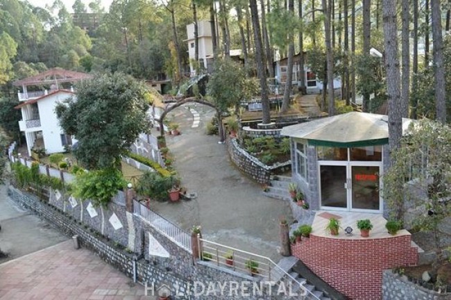 Stay At Himalayan terrain , Nainital