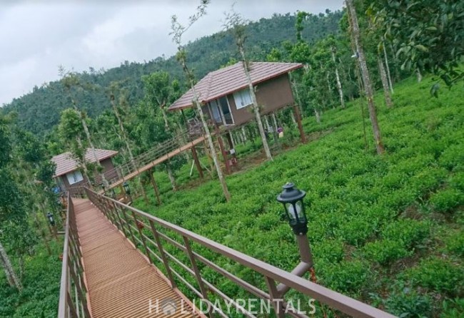 Holiday Home, Wayanad