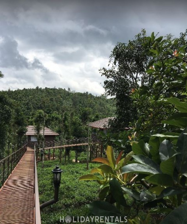 Holiday Home, Wayanad