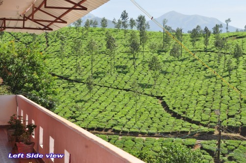 River View Homestay, Valparai