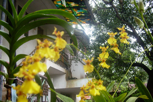 Casa Mia Homestay, Kochi