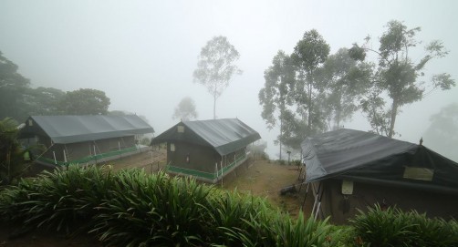 Nature Zone Jungle Resort, Munnar