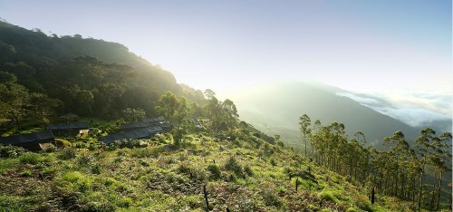 Nature Zone Jungle Resort, Munnar