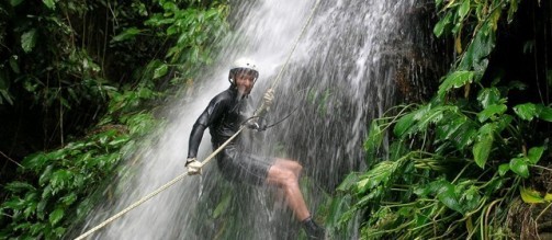 Jungle Stay, Dandeli