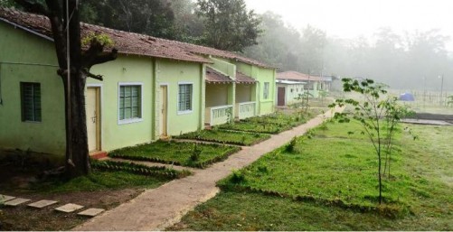 Jungle Stay, Dandeli