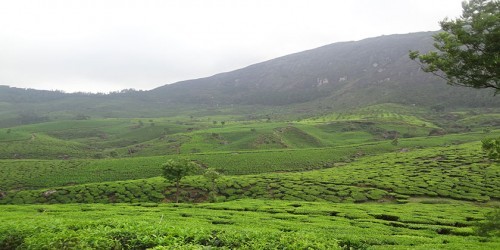 Aadithyaa Regency, Munnar