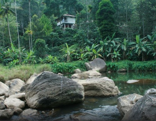 River Rock Homestay, Munnar