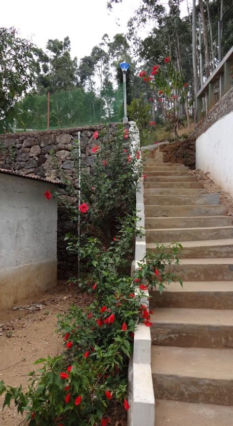 Rosedale Homestay, Munnar