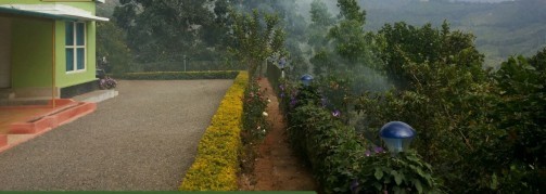 Rosedale Homestay, Munnar