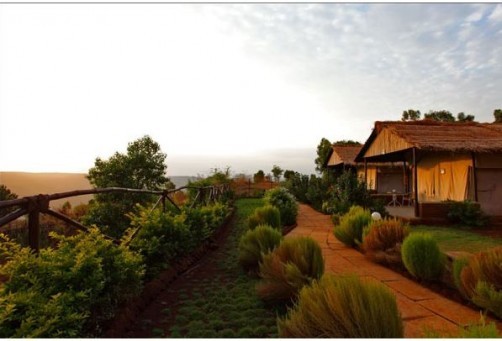 Terra Camp Resort, Panchgani