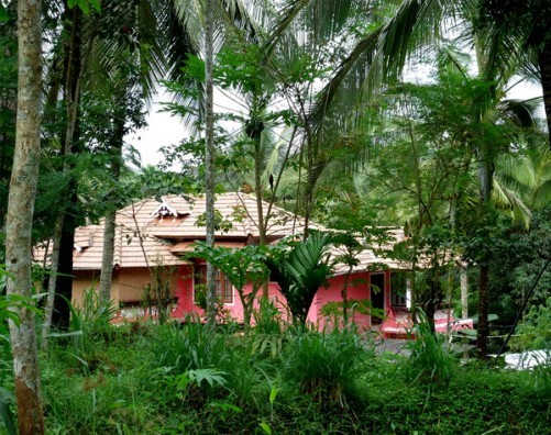 Spice garden Homestay, Wayanad