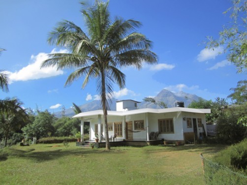 Tea Route Homestay, Wayanad