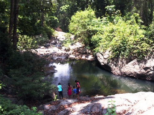 Tea Route Homestay, Wayanad