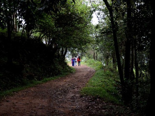 Tea Route Homestay, Wayanad