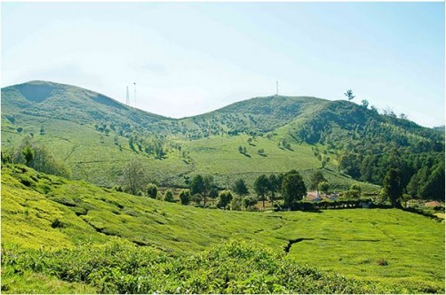 Palve Sugavasam, Ooty