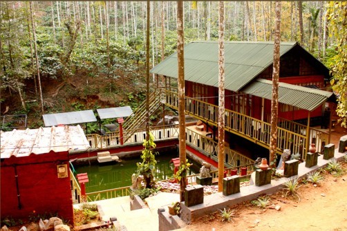 Brook Streak Resort, Wayanad