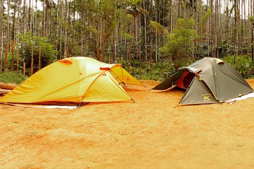 Brook Streak Resort, Wayanad