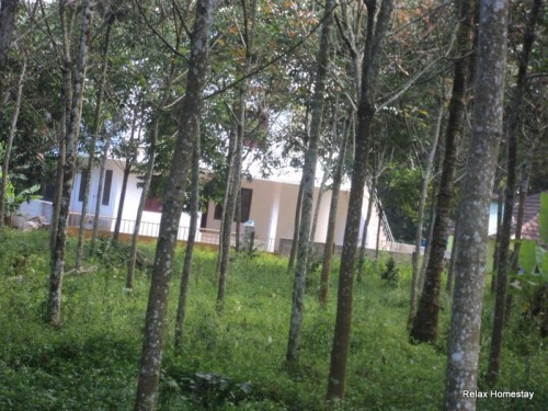 Relax Homestay, Wayanad