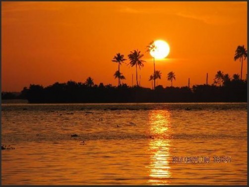 Goldfield Lake Resort, Kottayam