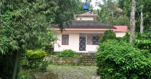 Olivia Homestay, Wayanad