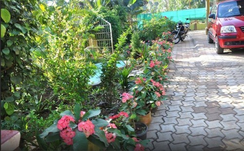 Mistymount Homestay, Wayanad