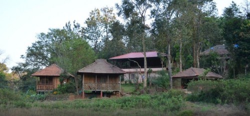 Jungle Retreat Wayanad, Wayanad