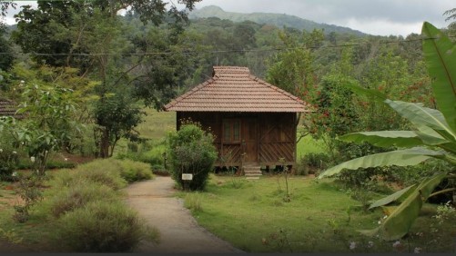 Jungle Retreat Wayanad, Wayanad