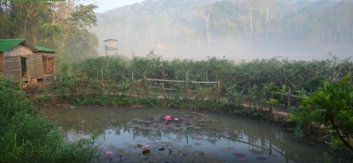 Jungle Retreat Wayanad, Wayanad